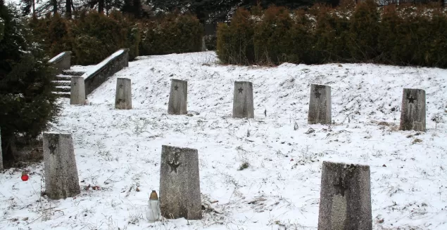 74. rocznica wyzwolenia Bielska i Białej - 12.02.2019