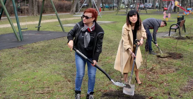 Członkowie bielskiej PO sadzili drzewa w Parku Włókniarzy - 21.03.2017