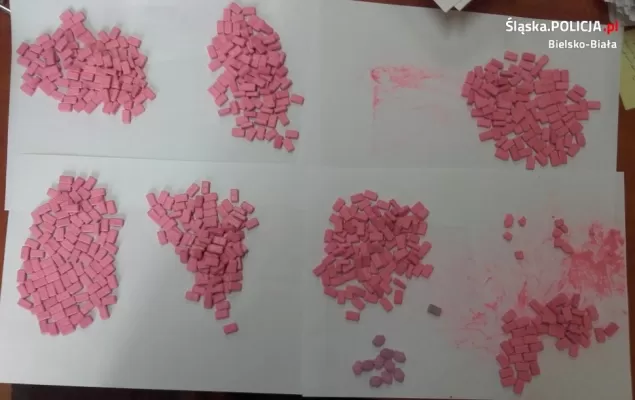 Policja rozbiła narkotykową grupę przestępczą ze środowiska pseudokibiców